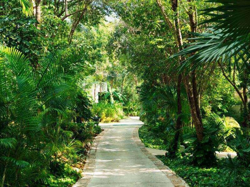 La Ceiba Blue Diamond Wellness Resort Riviera Maya La Ceiba Blue Diamond Wellness Resort Riviera Maya