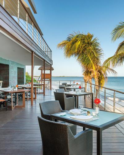 CEVICHE BAR Blue Diamond Wellness Resort Riviera Maya CEVICHE BAR Blue Diamond Wellness Resort Riviera Maya
