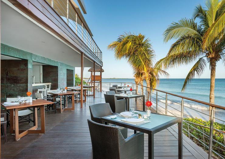 CEVICHE BAR Blue Diamond Wellness Resort Riviera Maya CEVICHE BAR Blue Diamond Wellness Resort Riviera Maya