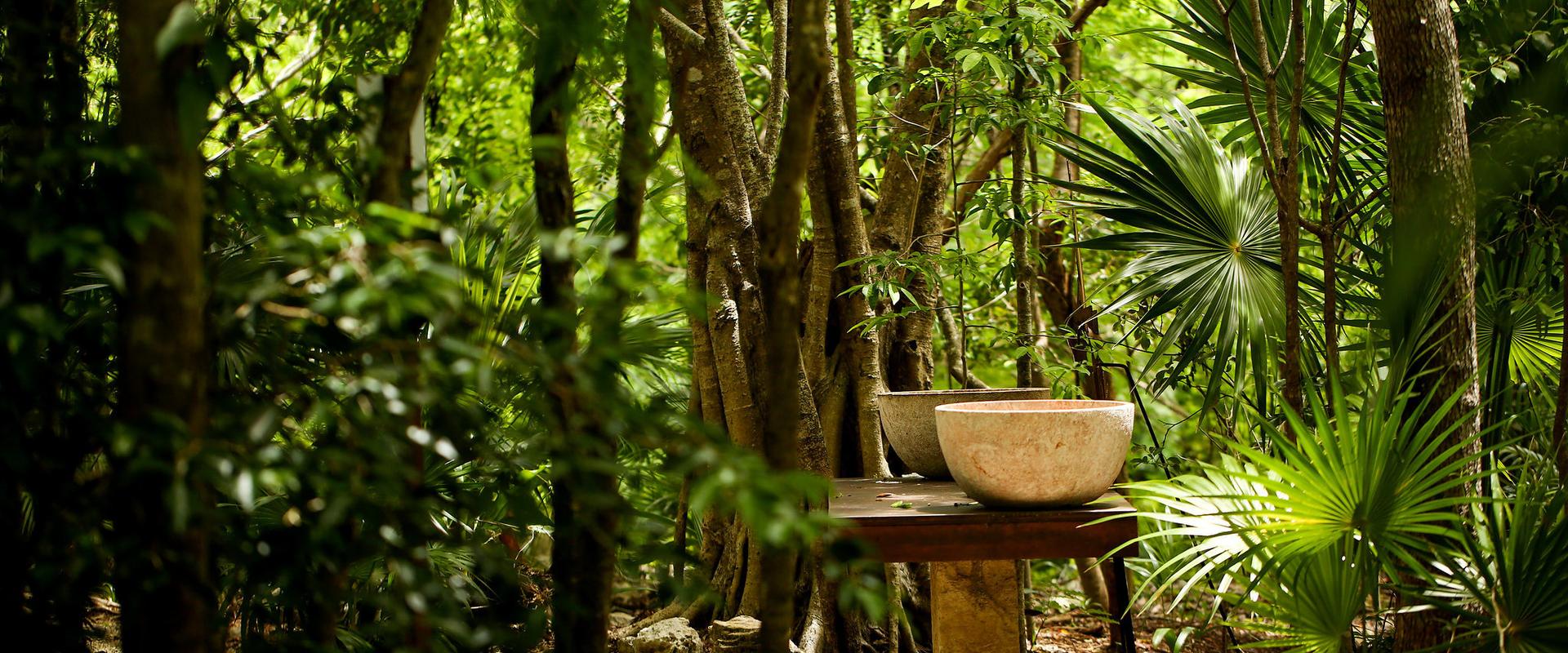 Blue Diamond Wellness Resort Blue Diamond Wellness Resort Riviera Maya Blue Diamond Wellness Resort Blue Diamond Wellness Resort Riviera Maya