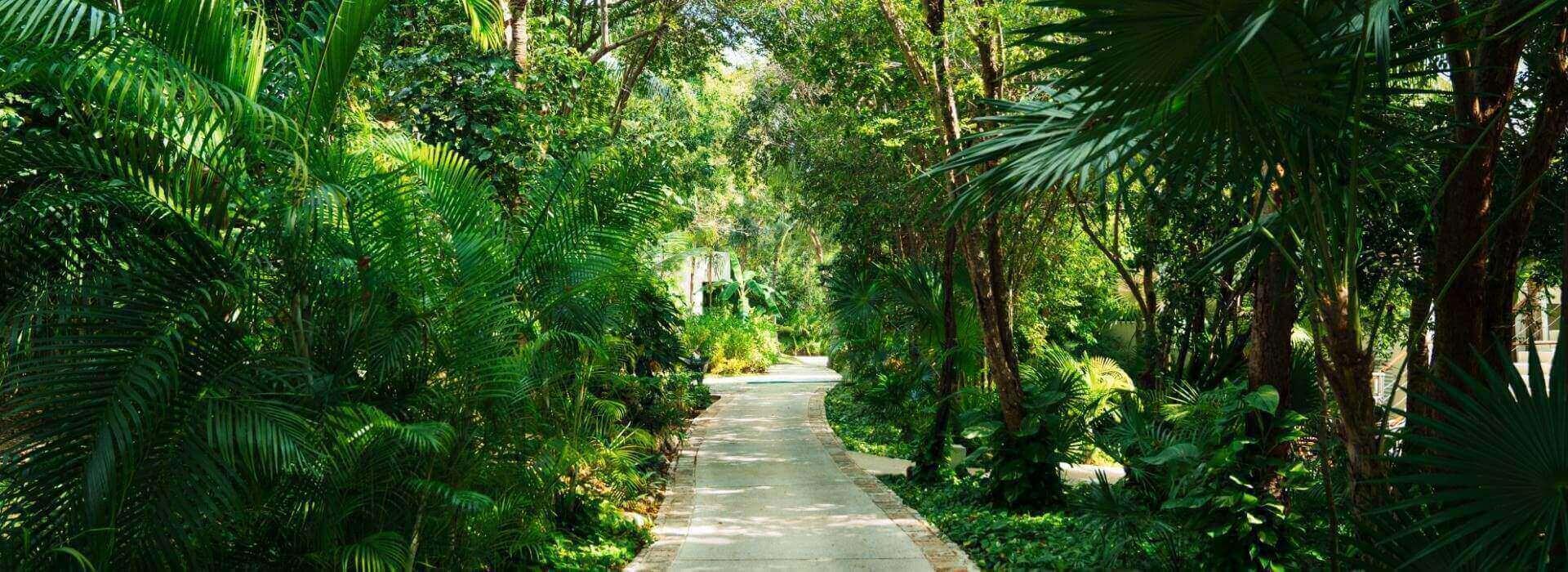 Entorno Blue Diamond Wellness Resort Riviera Maya Entorno Blue Diamond Wellness Resort Riviera Maya