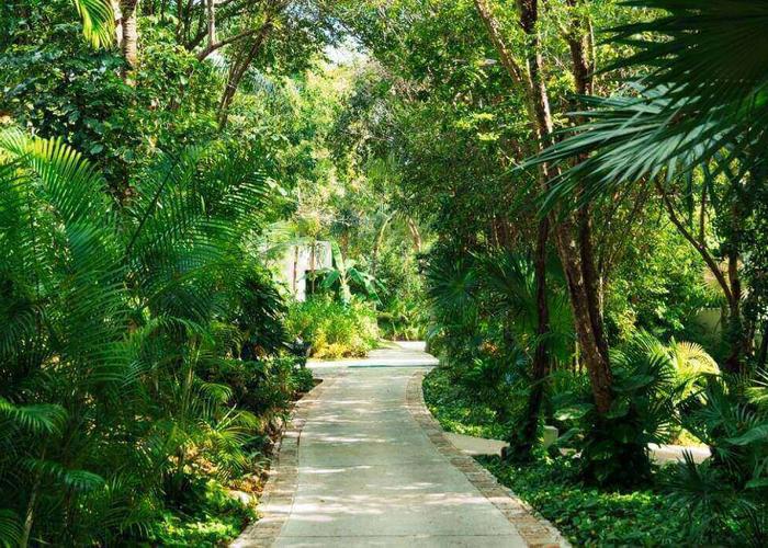 Entorno Blue Diamond Wellness Resort Riviera Maya Entorno Blue Diamond Wellness Resort Riviera Maya