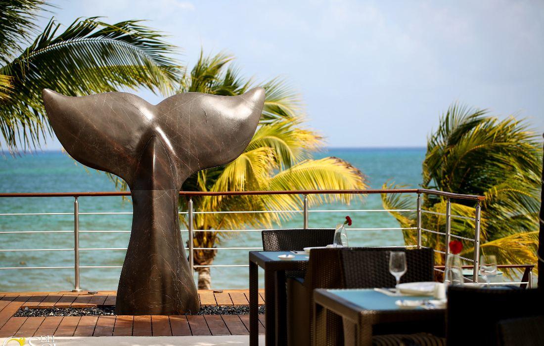 Obras de arte Blue Diamond Wellness Resort Riviera Maya Obras de arte Blue Diamond Wellness Resort Riviera Maya