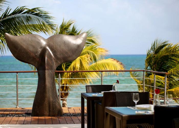 Obras de arte Blue Diamond Wellness Resort Riviera Maya Obras de arte Blue Diamond Wellness Resort Riviera Maya